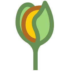 Flower 15 Outline icon